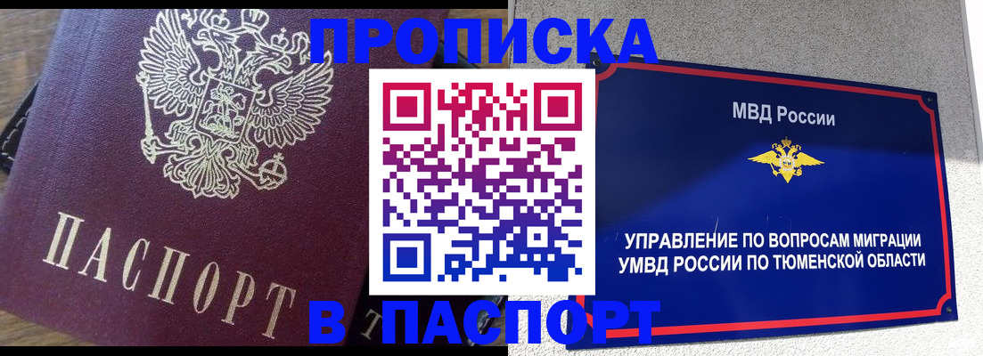 прописка поиск в Щёлково